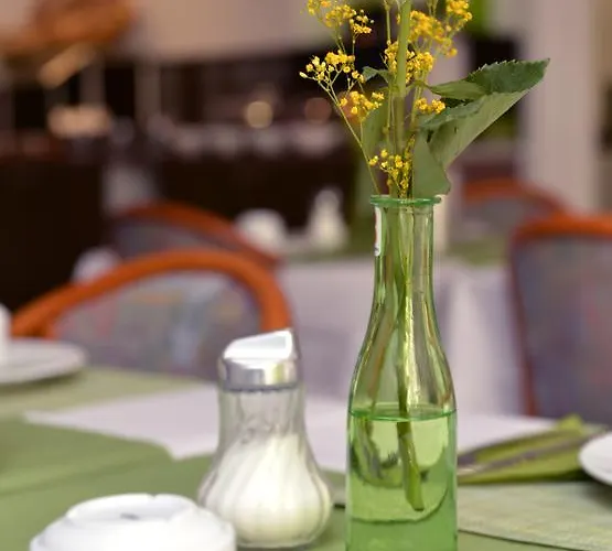 Hotel Crown Fráncfort del Meno