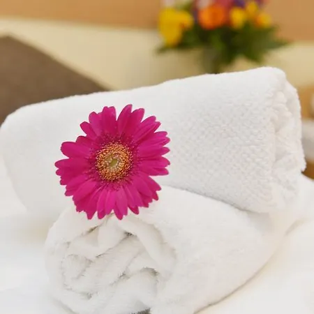 Hotel Crown Frankfurt nad Mohanem